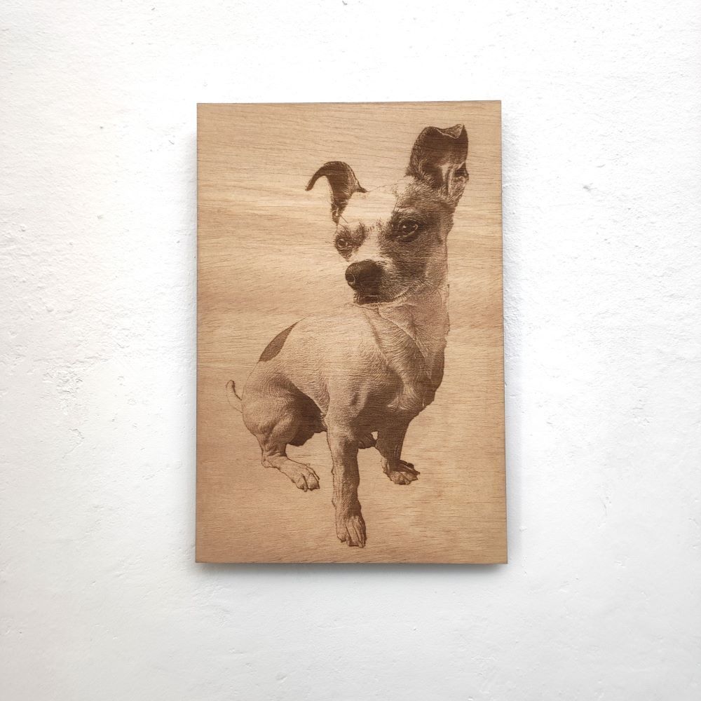 foto grabada mascota