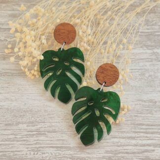 monstera pendiente